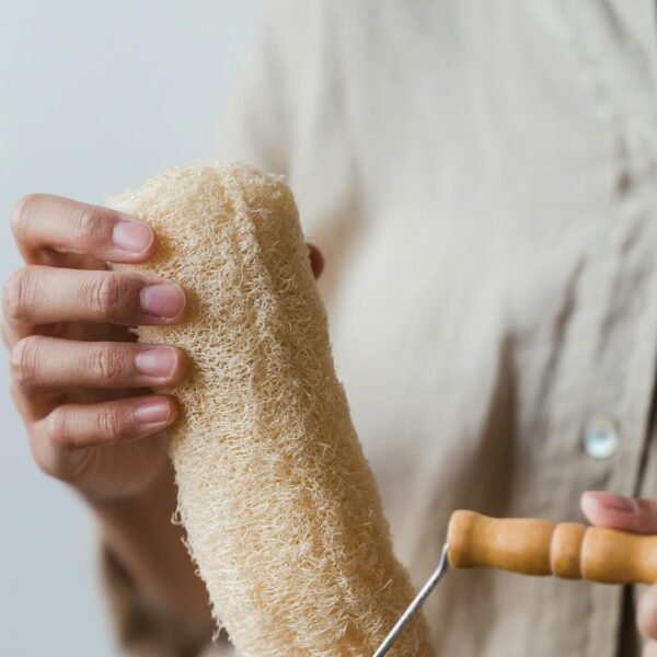Natural Loofah Scrub