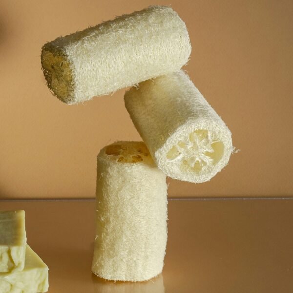 Natural Loofah Scrub